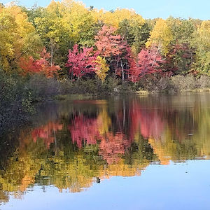 Meet your Posher, Holly